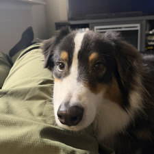 Spencer Barr-Redmond