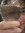 Alex_IU
