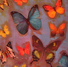 Grace Matthiessen
