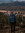 Jacob Hering