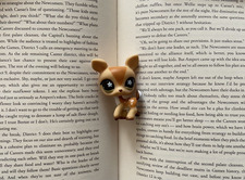 sweetest angel bambi capri