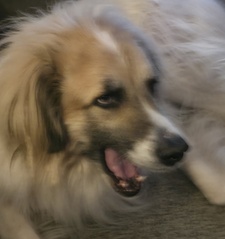 Jacob