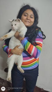 Ipsita
