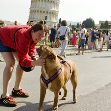 Danielle Van Der Sluis