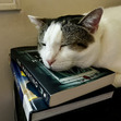 Libra Book Lover