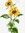 member photo member photo