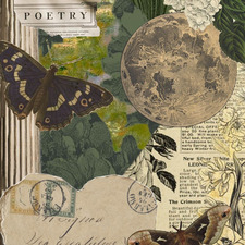 ✩•̩̩͙*˚emmalyn˚*•̩̩͙✩