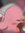 frol