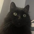 Rhiannon