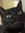 cat Zaro