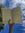 member photo member photo