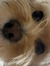 Izzy xx