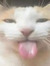 Iz