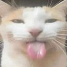 Iz
