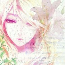 ris ,, rissie ⋆˙⟡