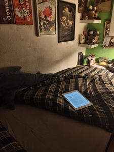 DaniMiku