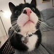 Katie
