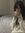 eline