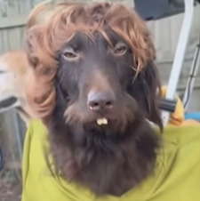 Ursula McQuoid - Brooks