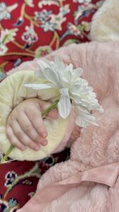 Shahd Mansour