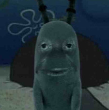 Stuart Schafer