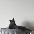Daniëlle