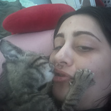 Sam