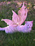 blueuet
