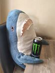 ⋆.ೃ࿔* Shark *ੈ✩‧ 