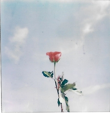 Soledad