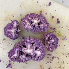 Ada