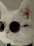 Alexand...