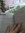 Evi