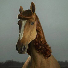 reem