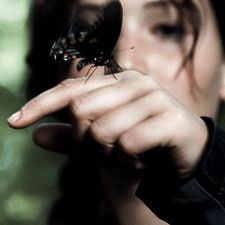 lara 