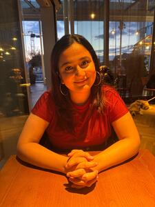 Damini