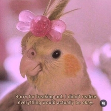 アヌク ウェバ