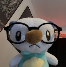 Luci