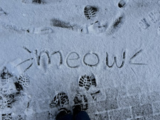 simsim