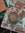 Nika