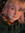 Elena Strefford-Caine
