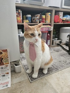 Nick