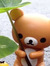 Xindan ...