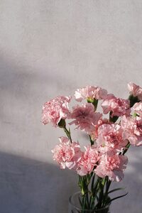 Ara