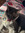 Jadou Minou