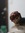 Hann