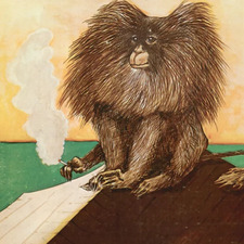 Skokyrats