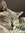 Quinn Lavin