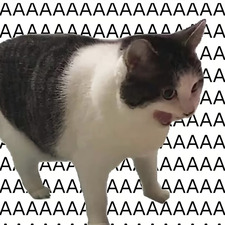 pagineprofumate