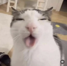 M L